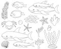 Set cute shark and sea elements fish crab algae corals seashell starfish in black and white color vector illustration